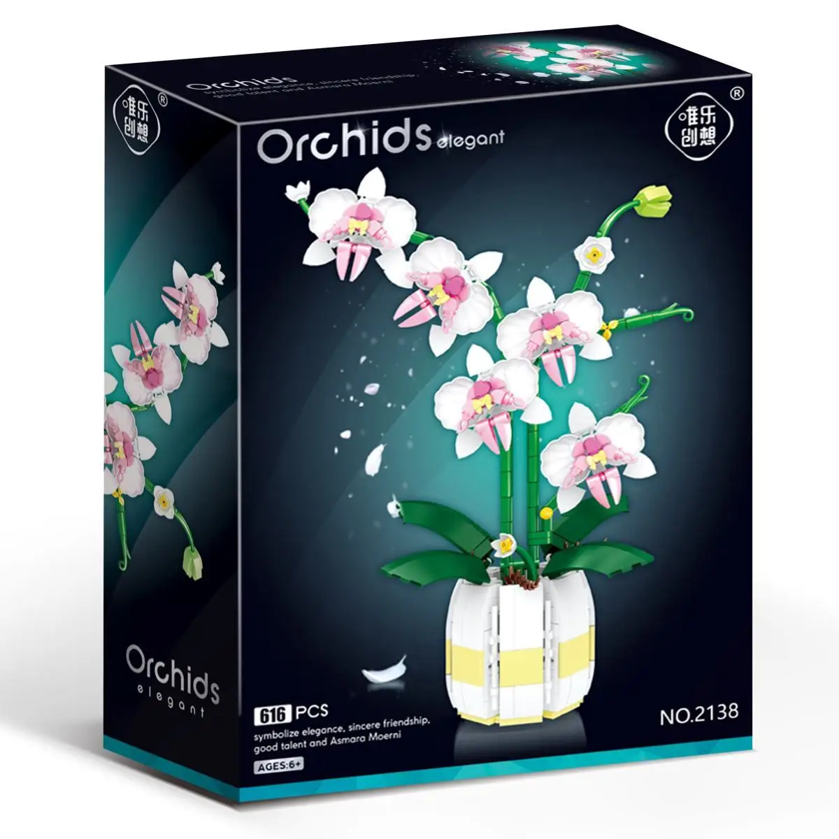 Apelsini orhidee potis | 606 tükki