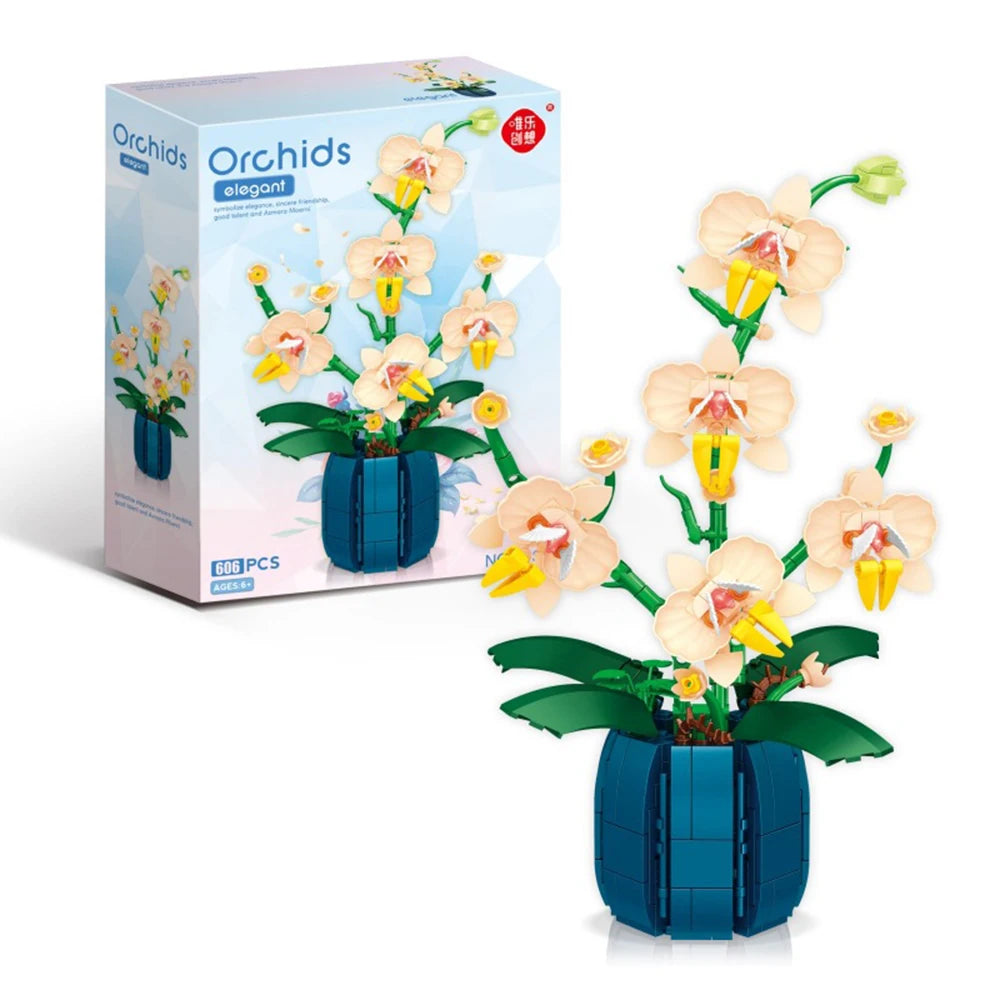Apelsini orhidee potis | 606 tükki